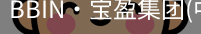 BIN宝盈集团